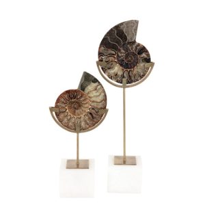 Shelby on Crystal Base